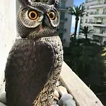 - Promenade Des
